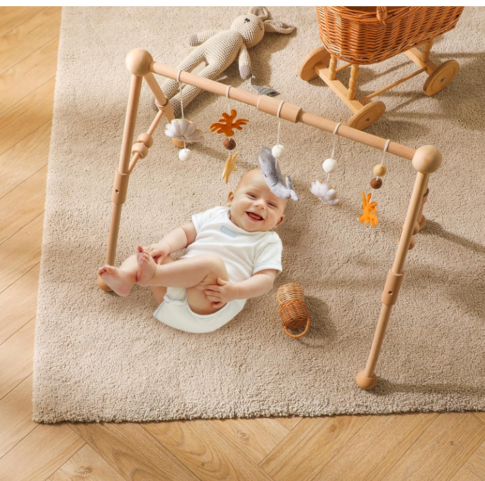 Bubba Play Gym with Soft Toys