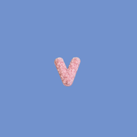 Bubba's Fluffy Letter Patch