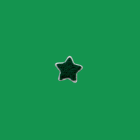 Bubba Stars Patch