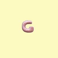 Bubba's Letter Patch