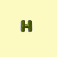 Bubba's Letter Patch